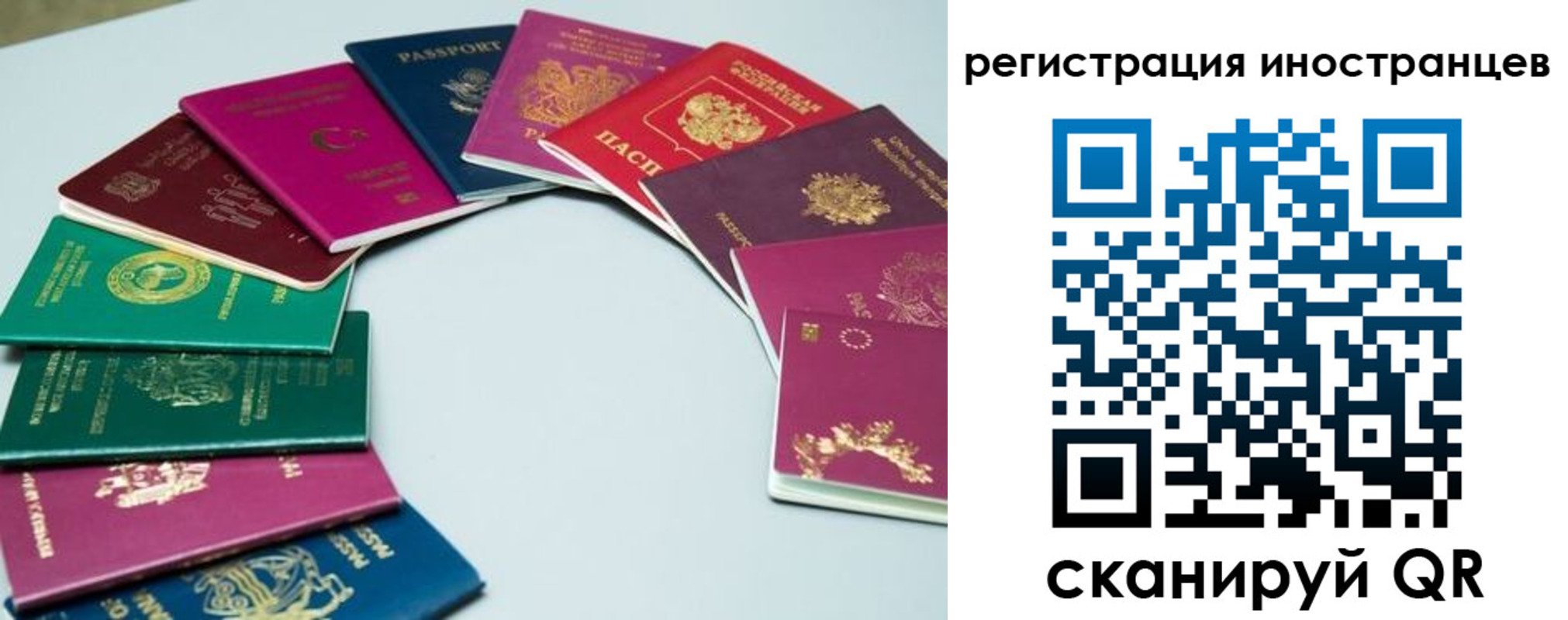 регистрация в Новоалександровске